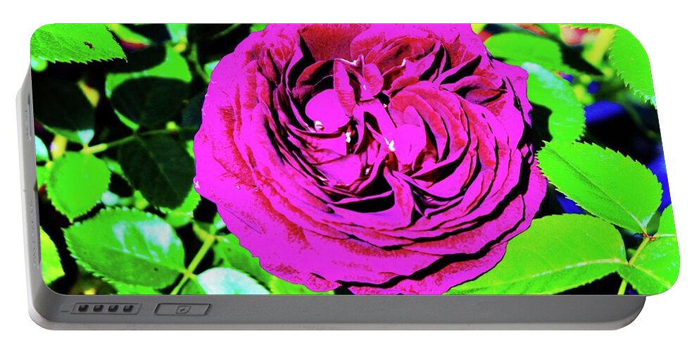 Plum Portable Battery Charger featuring the photograph Plum Purple Rose by Cynthia Guinn