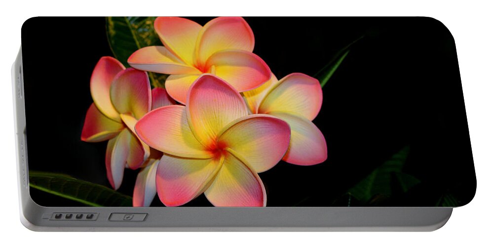 Plumeria Portable Battery Charger featuring the photograph Plumeria by Living Color Photography Lorraine Lynch