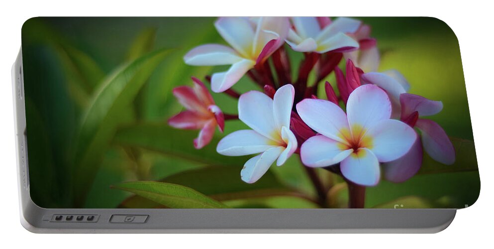 Plumeria Portable Battery Charger featuring the photograph Plumeria Sunset by Kelly Wade