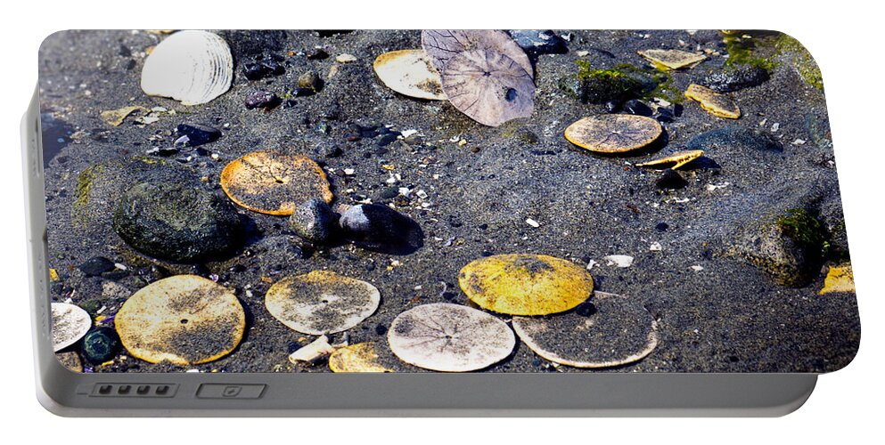 Sand Dollar Portable Battery Charger featuring the photograph Pocketful of Dollars by Wayne Enslow