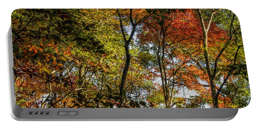 Fall Leaves Portable Battery Charger featuring the photograph Pockets of Color emerging by Barbara Bowen