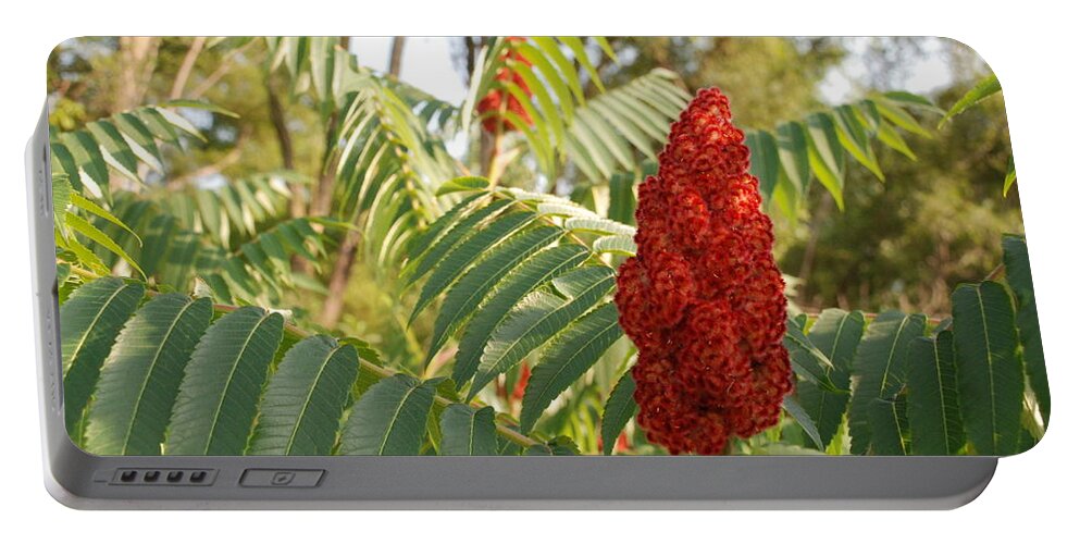 Staghorn Sumac Portable Battery Charger featuring the photograph Staghorn Sumac #2 by Ee Photography