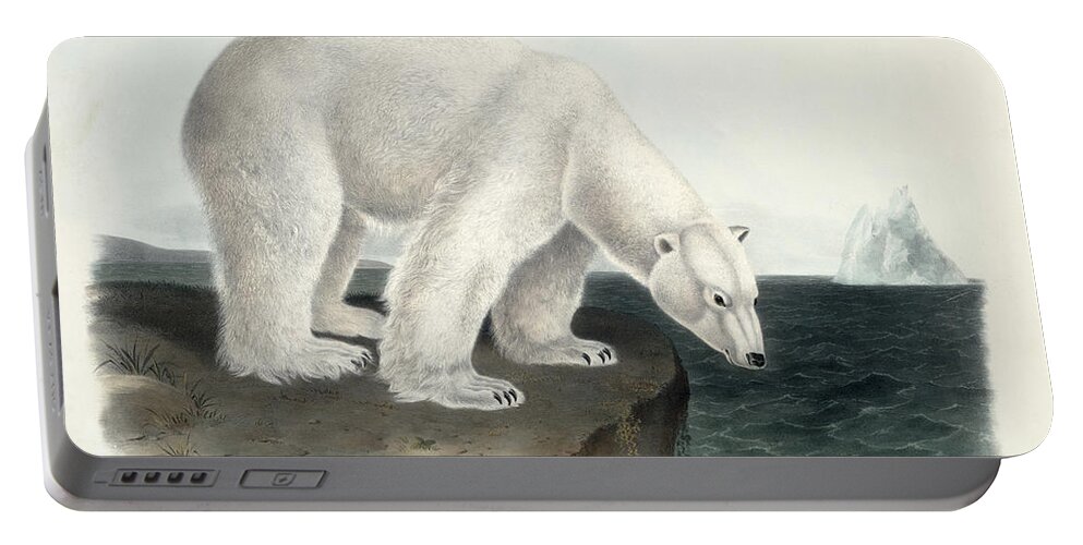 Arctic Portable Battery Charger featuring the painting Polar Bear by John James Audubon