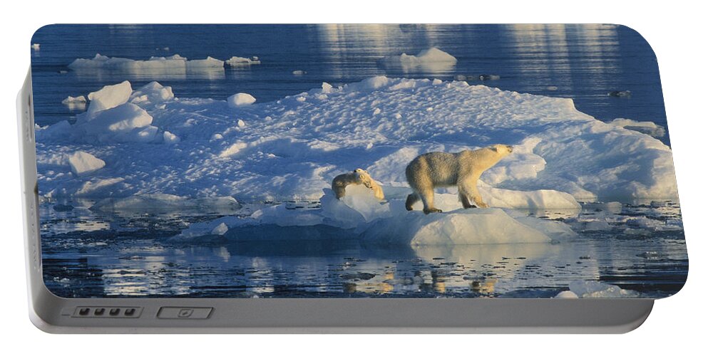 00282096 Portable Battery Charger featuring the photograph Polar Bear and Cubs on Ice by Rinie Van Meurs
