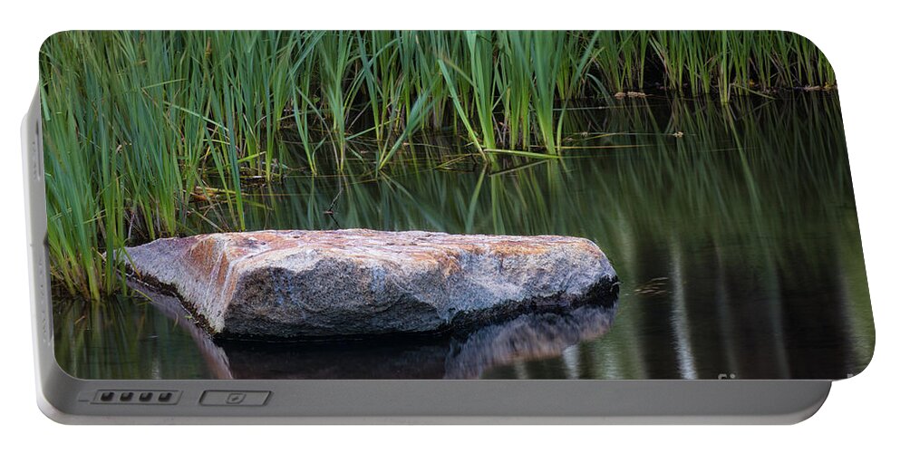 Pond Portable Battery Charger featuring the photograph Pond by Anthony Michael Bonafede