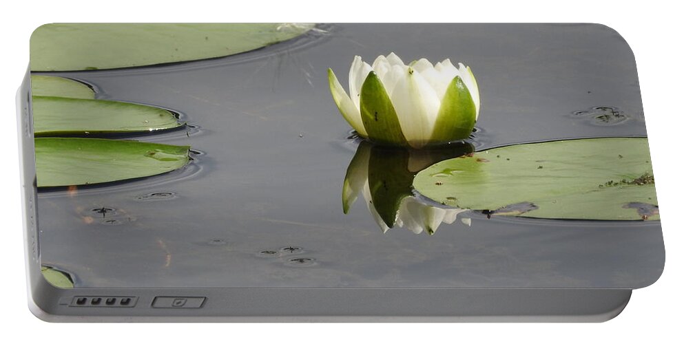 Water Lily Portable Battery Charger featuring the photograph Pond Beauty by Betty-Anne McDonald
