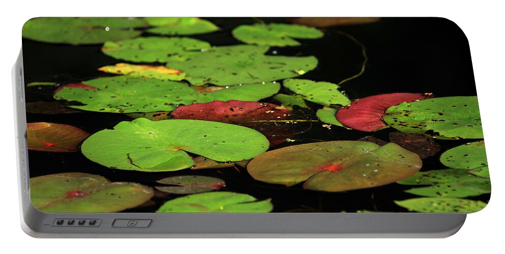 Nature Portable Battery Charger featuring the photograph Pond Pads by Karol Livote