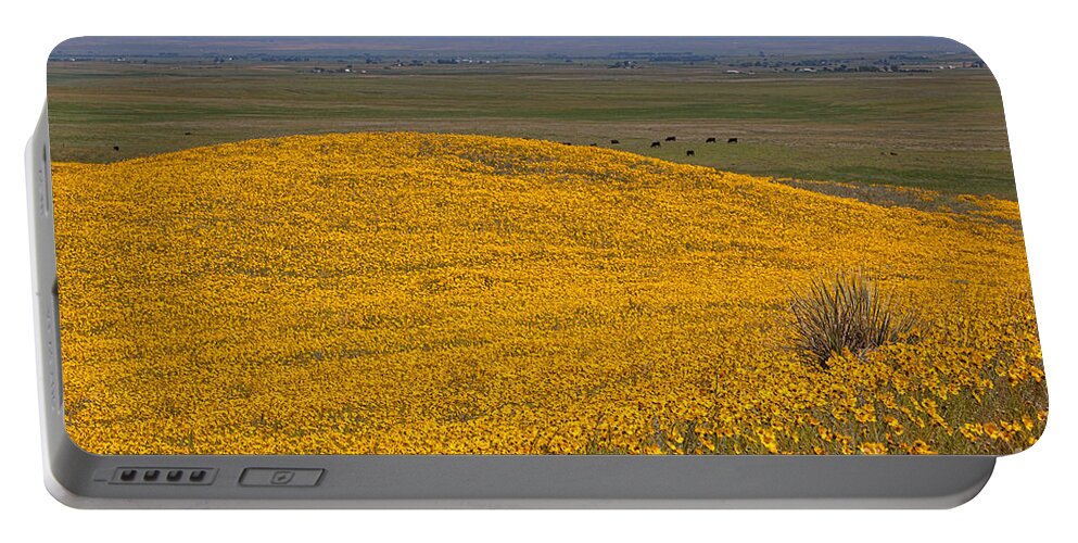 Yellow Wildflowers Portable Battery Charger featuring the photograph Mound of Gold by Jim Garrison