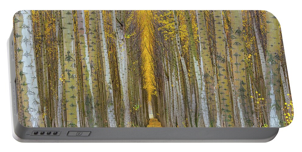 Poplar Portable Battery Charger featuring the photograph Poplar Tree Farm in Boardman Oregon in Fall Closeup by David Gn