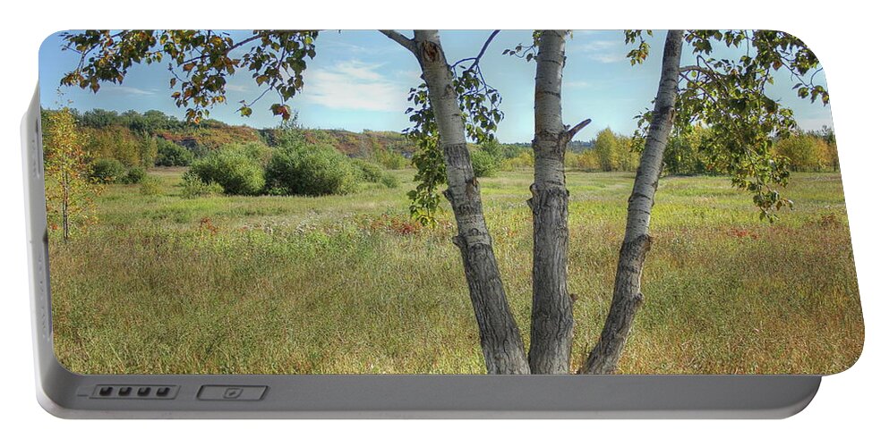 Meadow Portable Battery Charger featuring the photograph Poplar Tree in Autumn Meadow by Jim Sauchyn