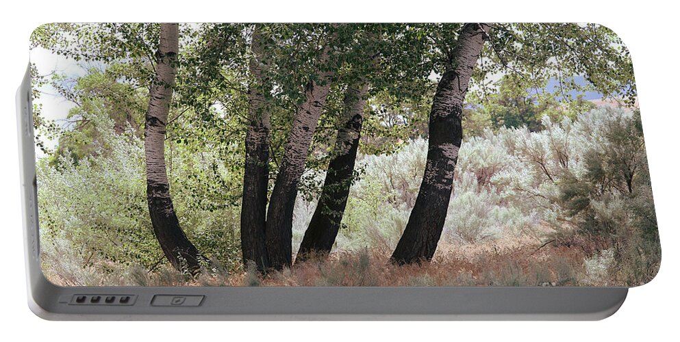 Trees Portable Battery Charger featuring the photograph Poplar Trees and Sagebrush by Carol Groenen
