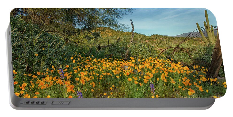 Poppies Portable Battery Charger featuring the photograph Poppies Abound by Tom Kelly
