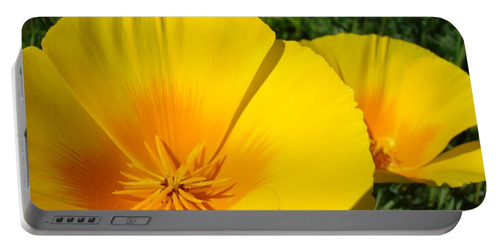 �poppies Artwork� Portable Battery Charger featuring the photograph Poppies Art Poppy Flowers 4 Golden Orange California Poppies by Patti Baslee