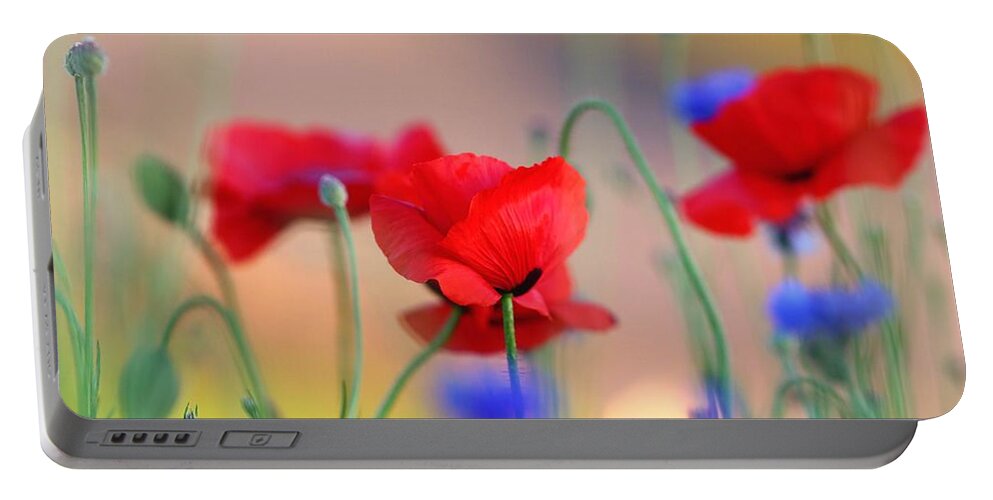 Poppies In Spring Portable Battery Charger featuring the photograph Poppies in spring by Lynn Hopwood