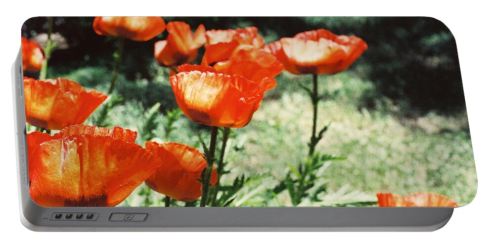 Flowers Portable Battery Charger featuring the photograph Poppies by Ric Bascobert