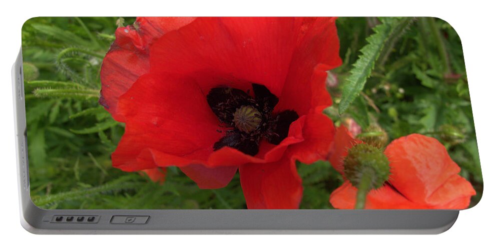 Poppy Portable Battery Charger featuring the photograph Poppy by Andy Thompson
