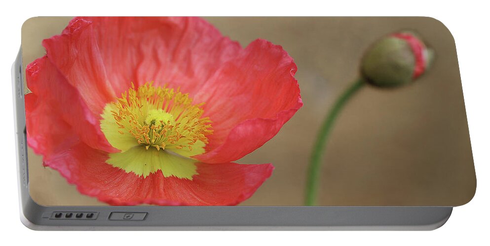 Poppy Portable Battery Charger featuring the photograph Poppy Bloom and Bud by Vanessa Thomas