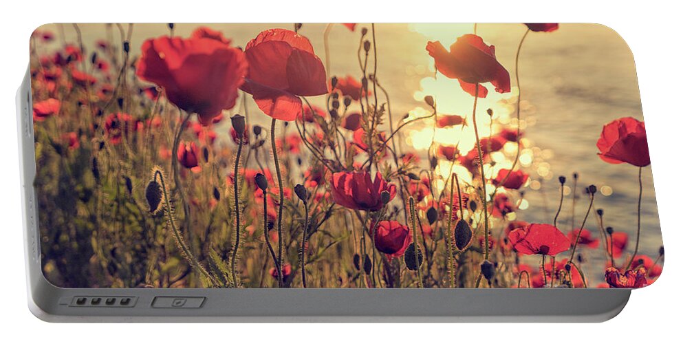 Poppy Portable Battery Charger featuring the photograph Poppy flowers at sunset by Patricia Hofmeester