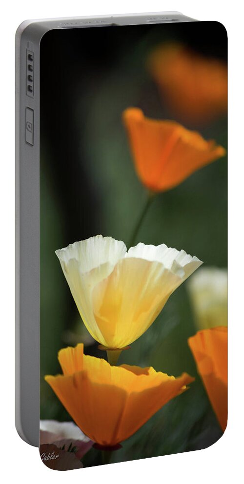 Orange Portable Battery Charger featuring the photograph Poppy Glow by Steph Gabler