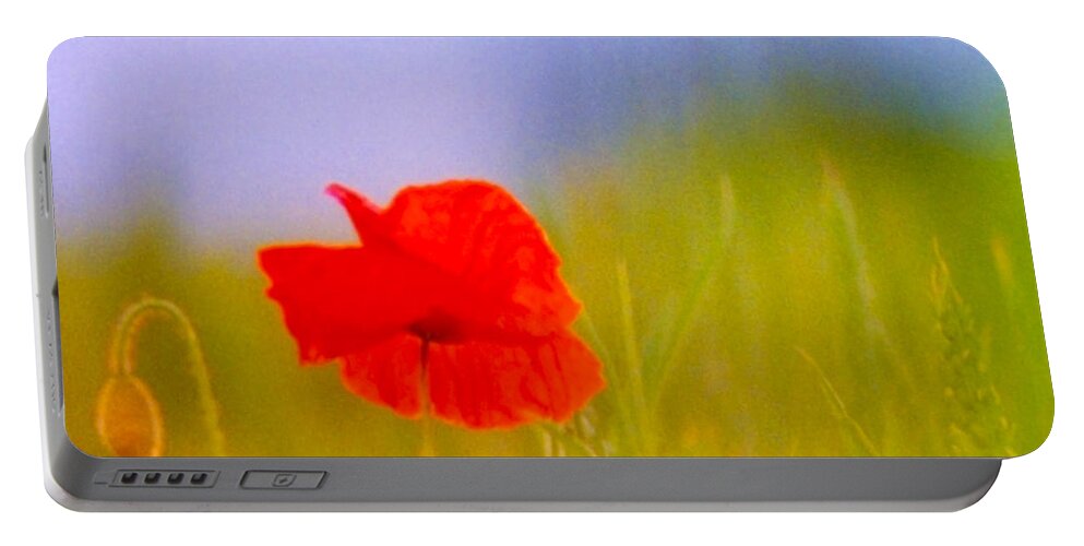 Red Portable Battery Charger featuring the photograph Poppy in soft light. by John Paul Cullen