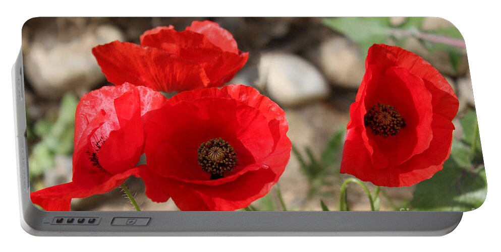 Poppy Portable Battery Charger featuring the photograph Poppy Parade by Clare Bevan
