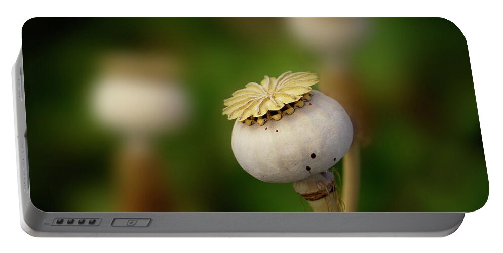 Poppy Portable Battery Charger featuring the photograph Poppy Seed Pod - 365-147 by Inge Riis McDonald