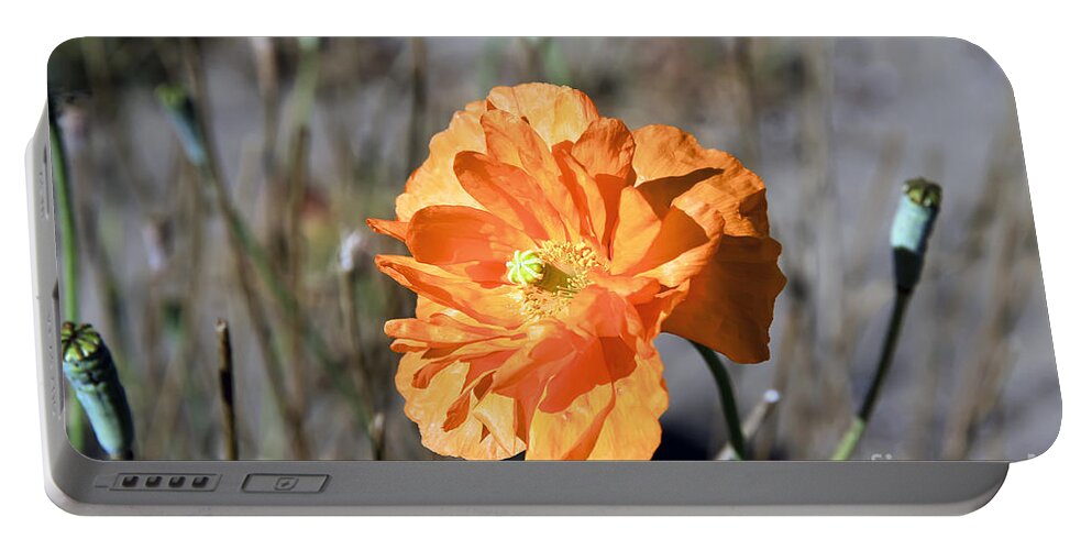 Flower Portable Battery Charger featuring the photograph Poppy by Teresa Zieba
