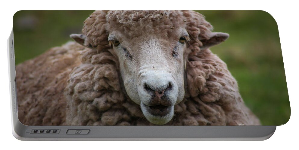 Face Sheep Portable Battery Charger featuring the photograph Portrait of a sheep by Gisell Iriarte
