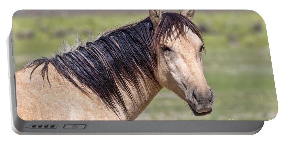 Horse Portable Battery Charger featuring the photograph Portrait Of A Wild Horse by Mimi Ditchie