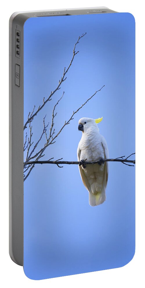 Birds Portable Battery Charger featuring the photograph Portrait of Sulphur Crested Cockatoo by Anthony Davey