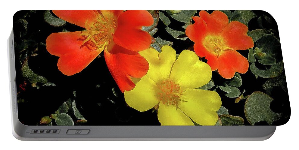 Nature Portable Battery Charger featuring the photograph Portulaca by Barry Bohn