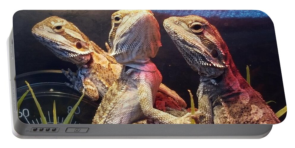 Reptiles Portable Battery Charger featuring the photograph Posers at the Pet Store by Dani McEvoy