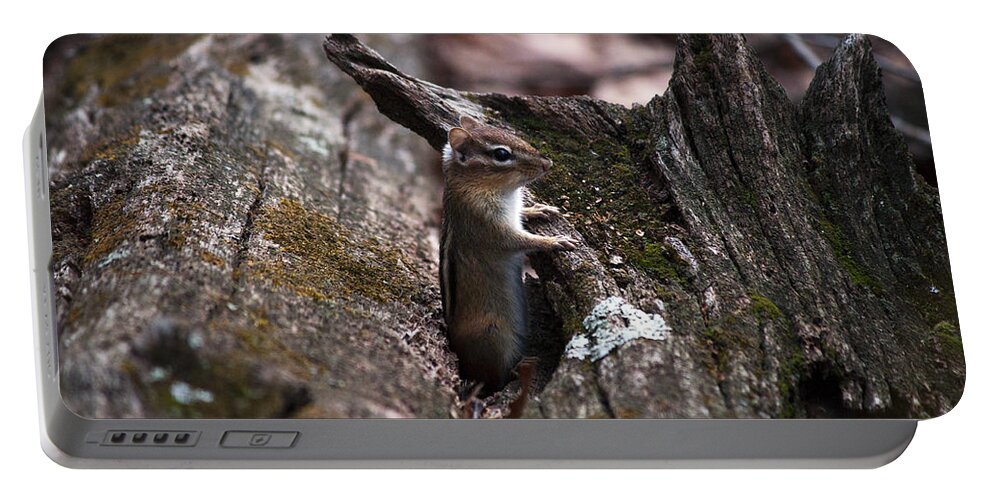 Wildlife Portable Battery Charger featuring the photograph Posing #1 by Jeff Severson