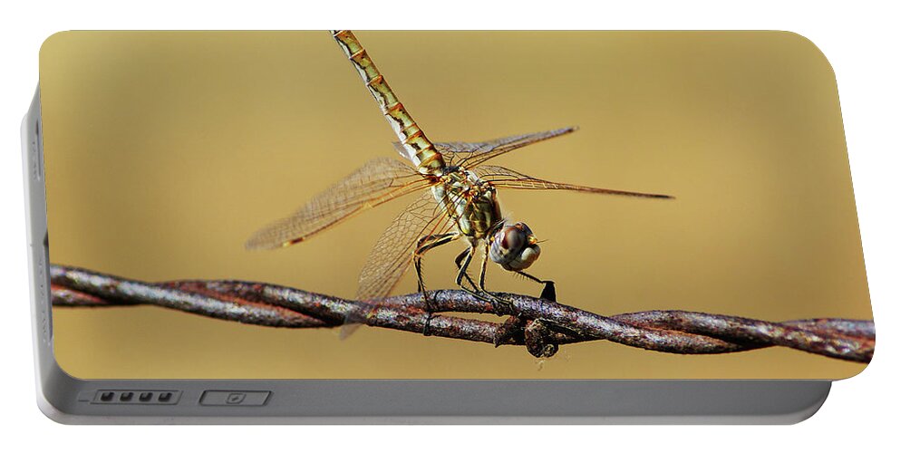 Dragonfly Portable Battery Charger featuring the photograph Posing For a picture by Abram House