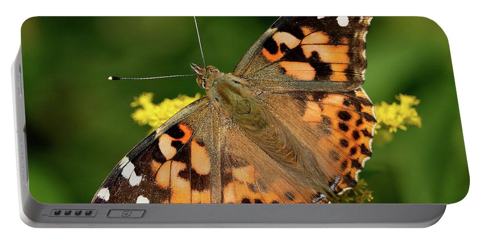 Painted Lady Butterfly Portable Battery Charger featuring the photograph Posing in the sun by Doris Potter