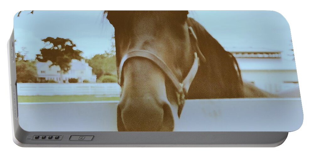 Hanover Shoe Farms Portable Battery Charger featuring the photograph Posing Standardbred by Paul Kercher