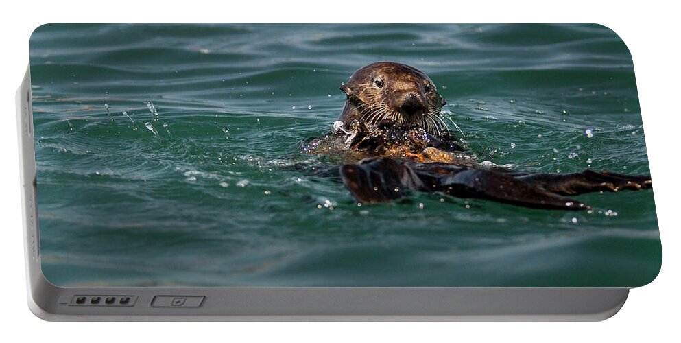 Nature Portable Battery Charger featuring the photograph Pounding Muscle by Denise Dube
