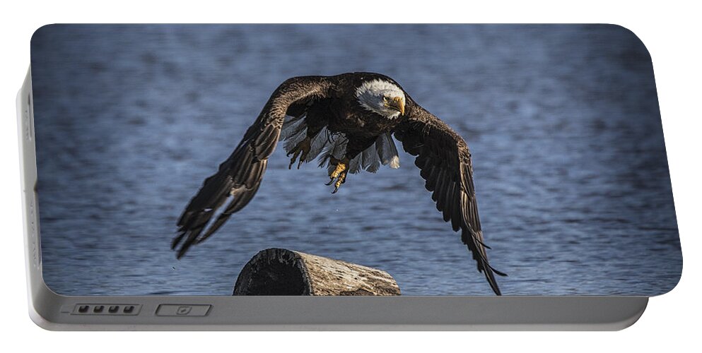 On The Wing Portable Battery Charger featuring the photograph Power by Mitch Shindelbower