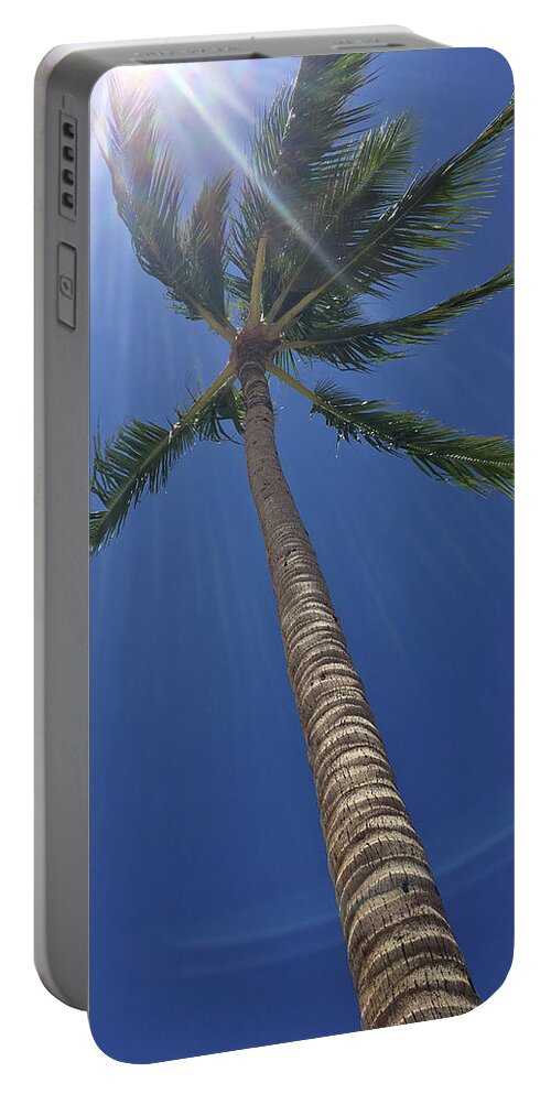 Palm Tree Photography Portable Battery Charger featuring the photograph Powerful Palm by Karen Nicholson