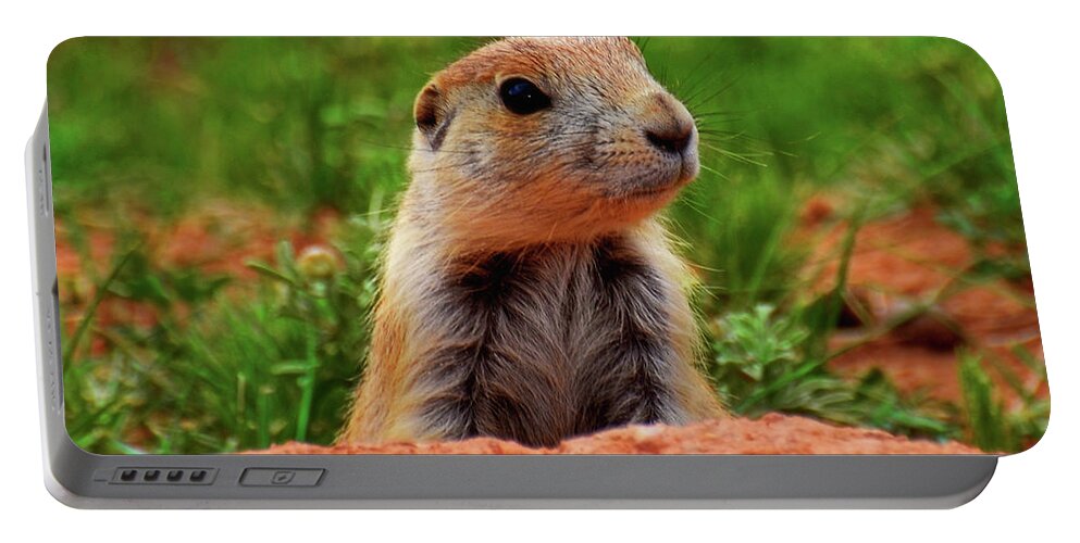 Wildlife Portable Battery Charger featuring the photograph Prairie Dogs 007 by George Bostian