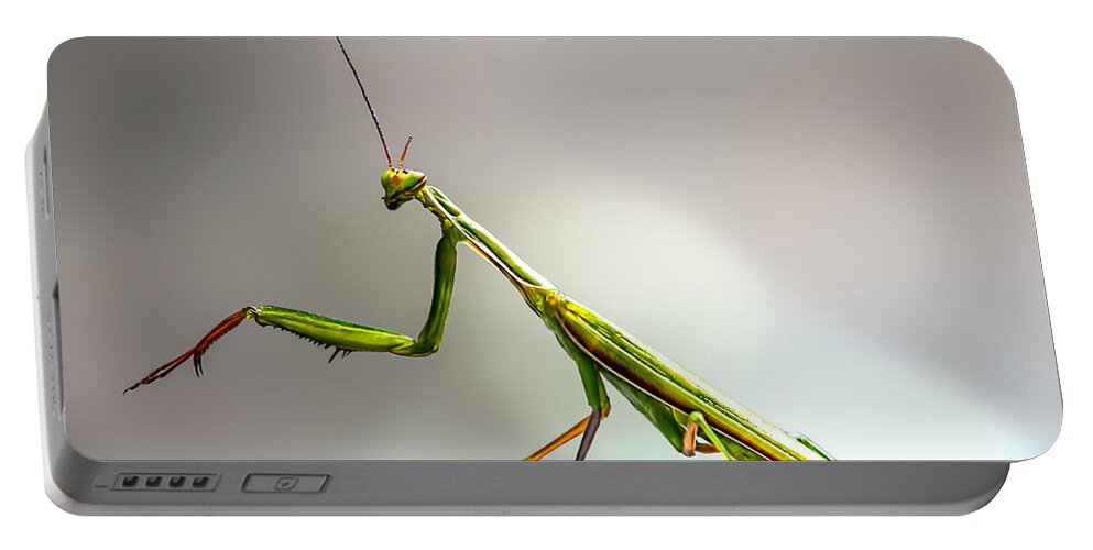 Mantis Portable Battery Charger featuring the photograph Praying Mantis by Bob Orsillo
