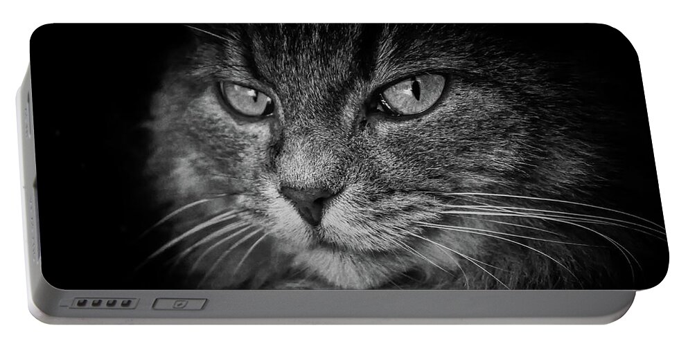 Cat Portable Battery Charger featuring the photograph Predator by Alessandro Della Pietra
