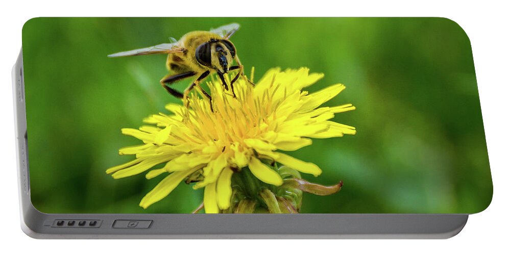 Bee Portable Battery Charger featuring the photograph Predator by Bill Pevlor