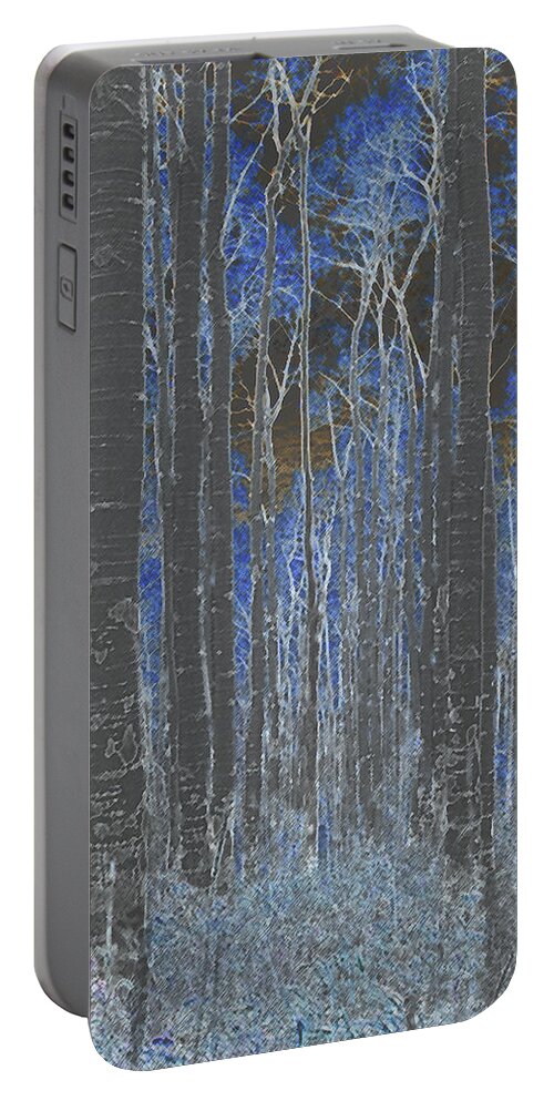 Aspens Portable Battery Charger featuring the photograph Prelude to Winter by Julia McHugh