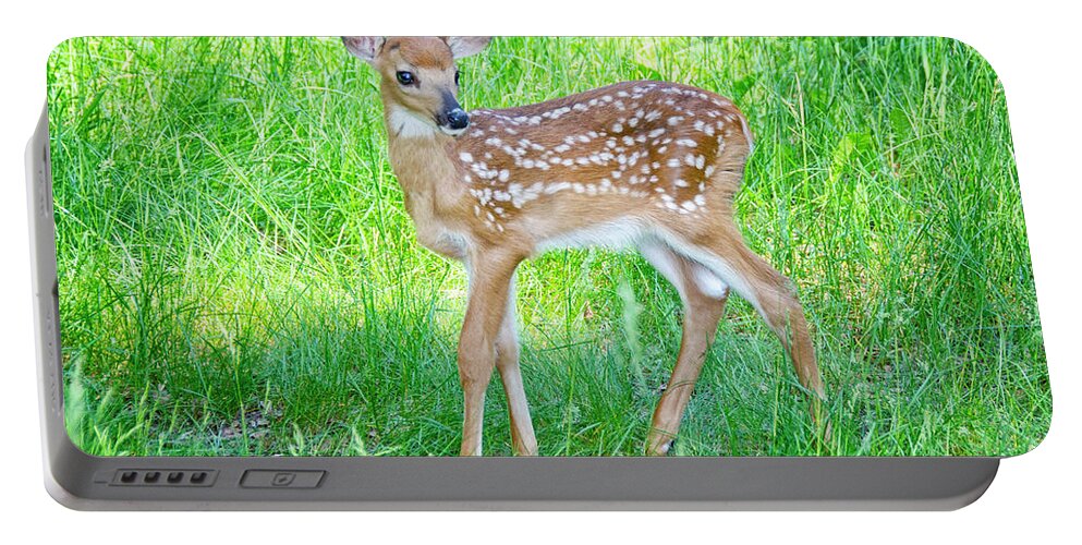 Fawn Portable Battery Charger featuring the photograph Pretty as a Picture by Peg Runyan
