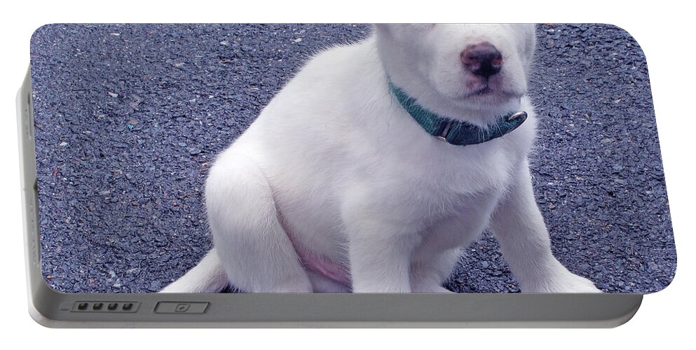 Dog Portable Battery Charger featuring the photograph Pretty Blue Eyes by Barbara McDevitt