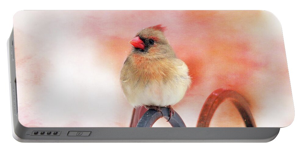 Birds Portable Battery Charger featuring the photograph Pretty Cardinal by Trina Ansel