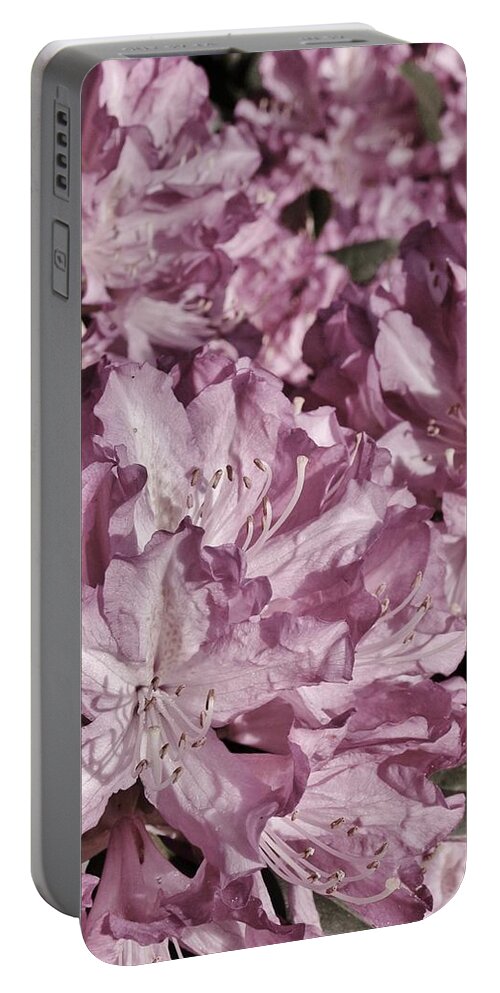Pink Portable Battery Charger featuring the photograph Pretty In Pink by Richard Brookes