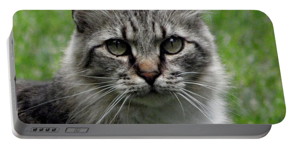 Cat Portable Battery Charger featuring the photograph Pretty Kitty by Kim Galluzzo Wozniak