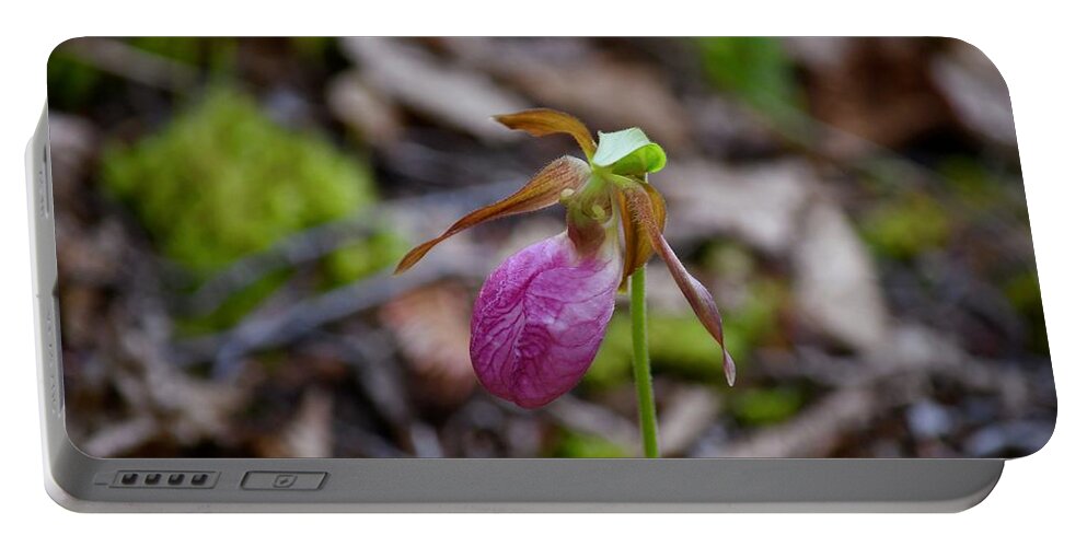 Wild Flower Portable Battery Charger featuring the photograph Pretty Pink Lady Slipper by Hella Buchheim